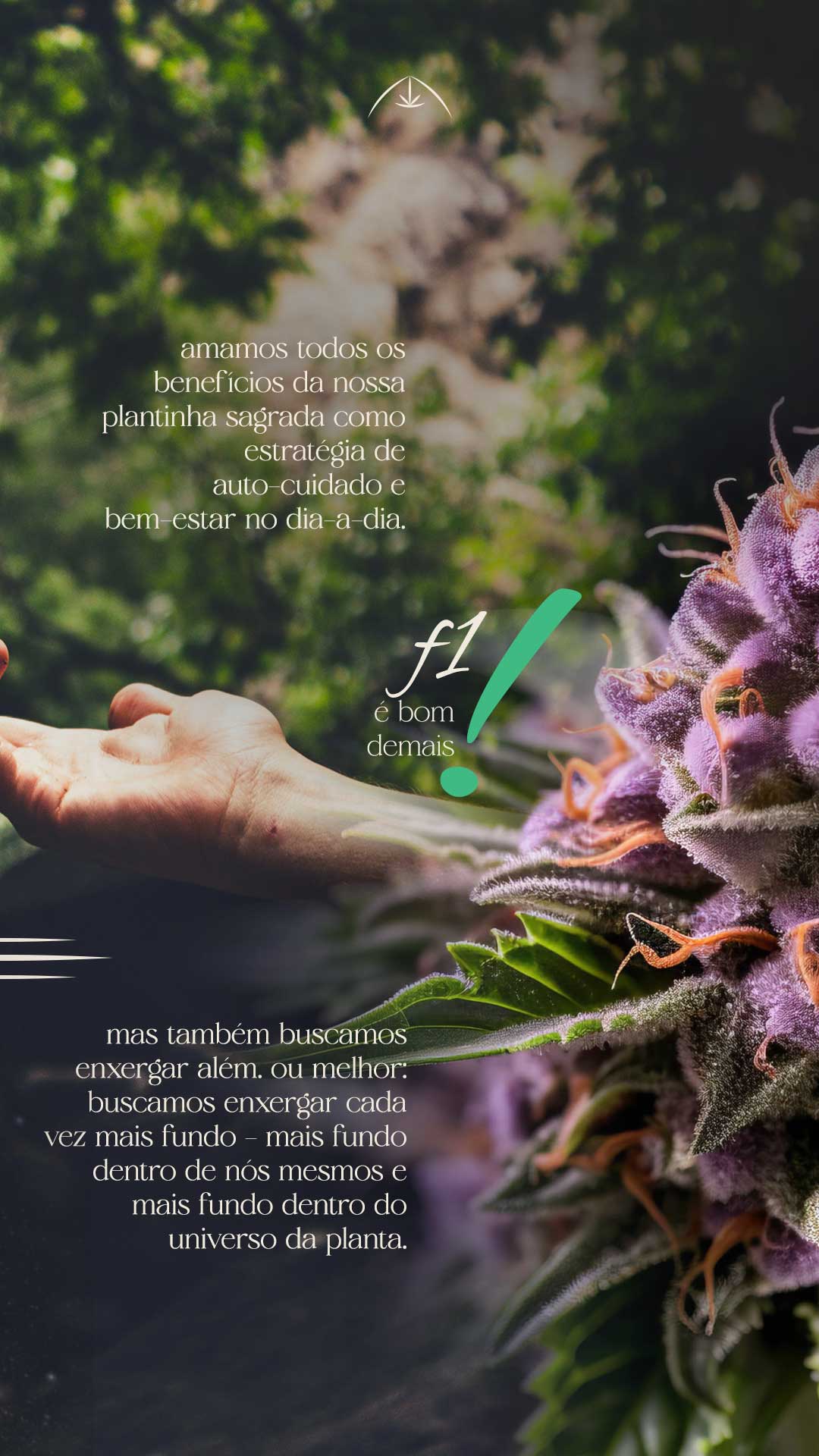 o-que-é-a-gush-9x16-copy_04