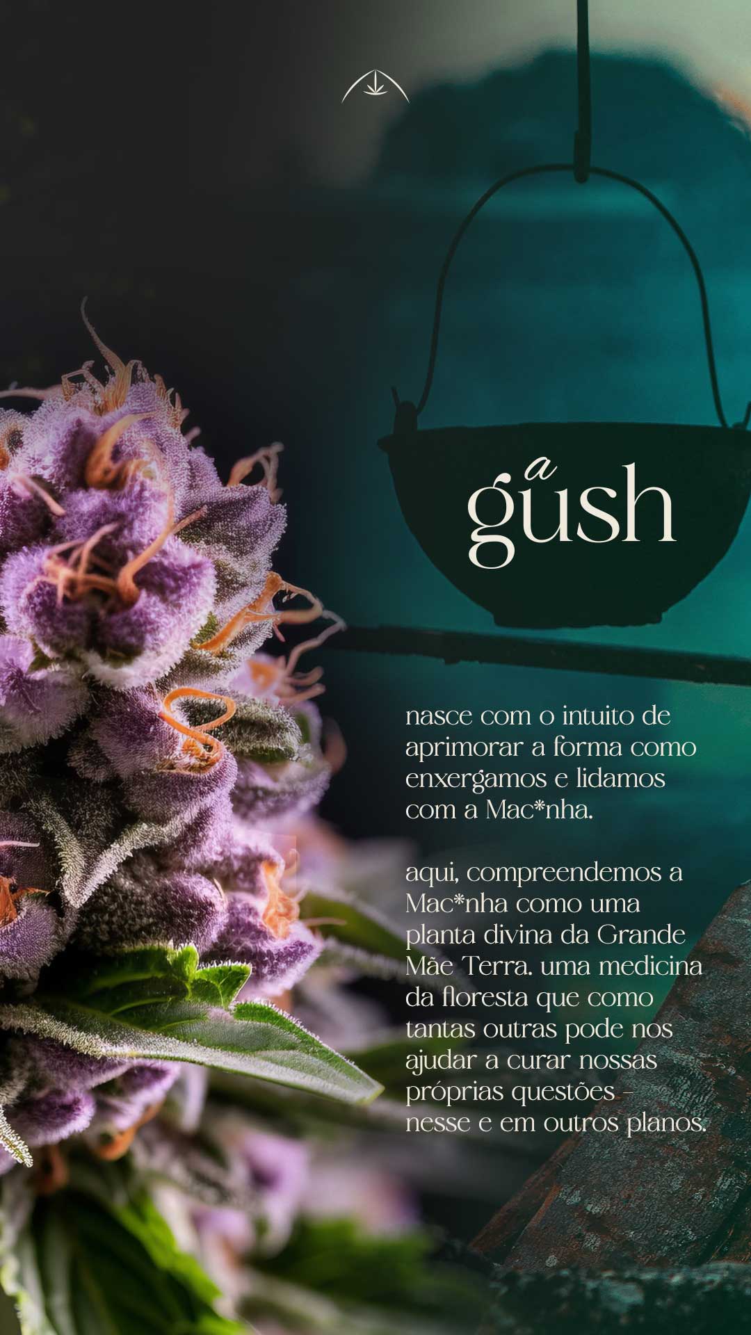 o-que-é-a-gush-9x16-copy_05