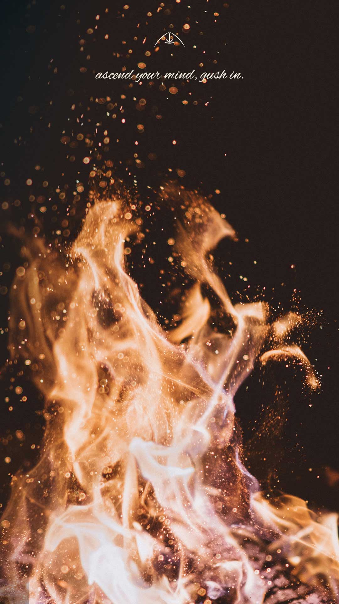 o-que-é-a-gush-9x16-copy_10